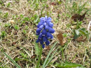 e0098256_18302352.jpg