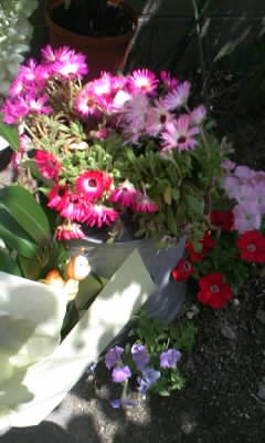 f0074659_20112775.jpg