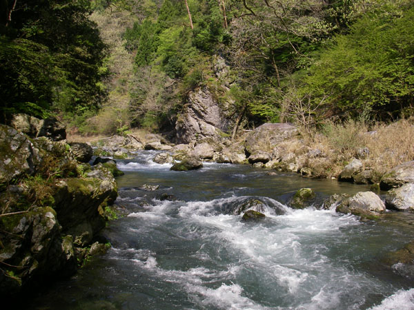 b0053660_10101062.jpg
