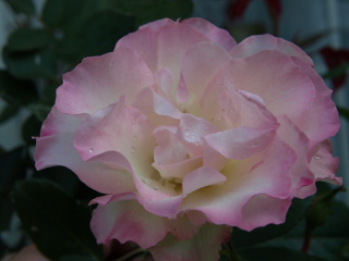 e0105760_9304094.jpg