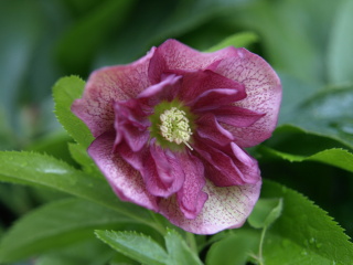 e0105760_9321361.jpg
