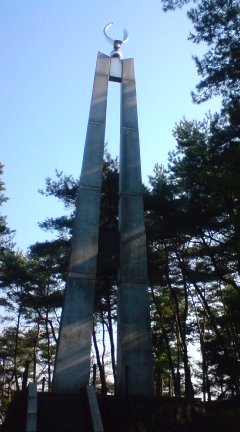 d0045362_16435730.jpg