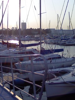 f0206762_1141375.jpg