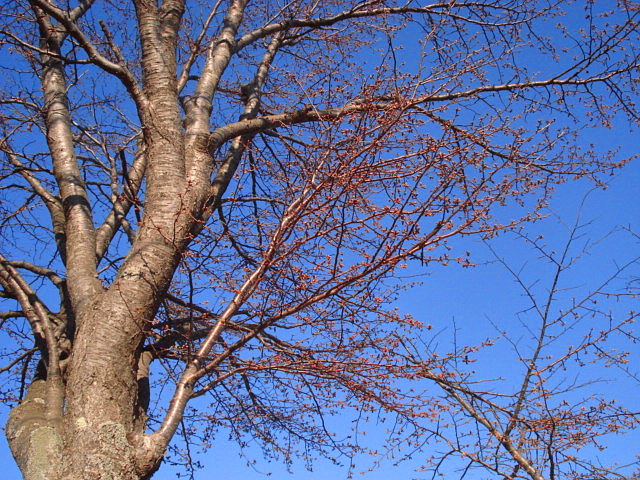 f0132565_7325122.jpg
