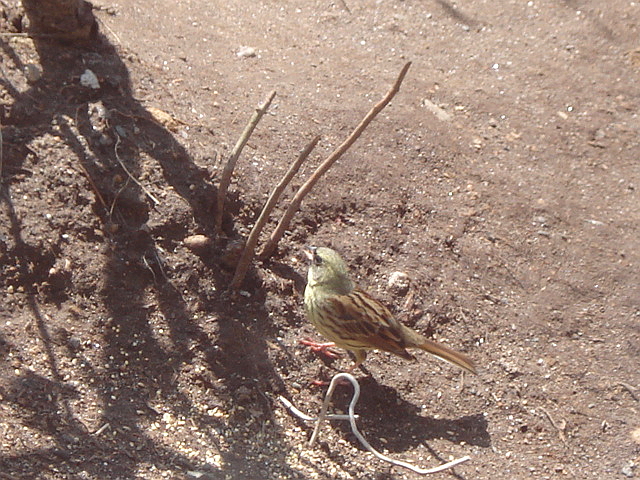 f0132565_7401260.jpg