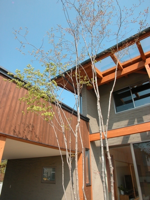 c0166668_2312476.jpg
