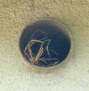 f0086169_11271255.jpg