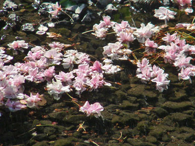 f0086169_2149317.jpg