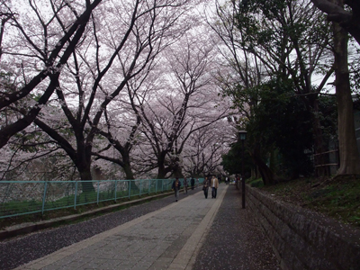 f0044270_6515410.jpg