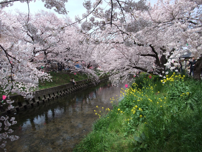 f0044270_654748.jpg