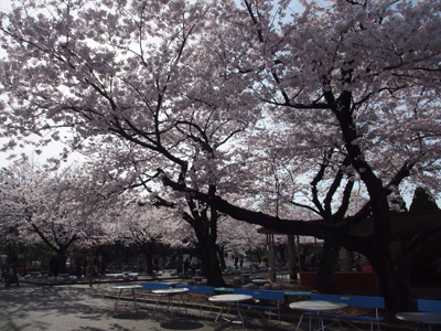 f0044270_6564594.jpg