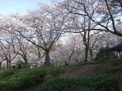f0044270_659274.jpg