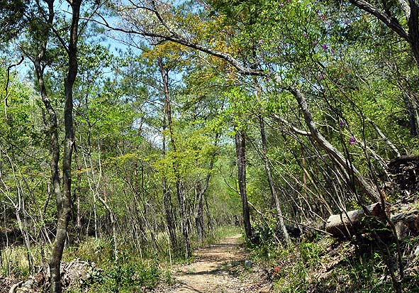 f0198771_0412460.jpg