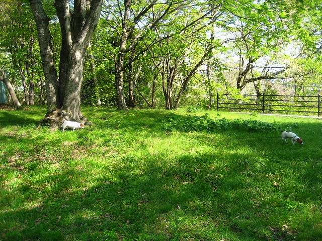 e0106372_9201596.jpg