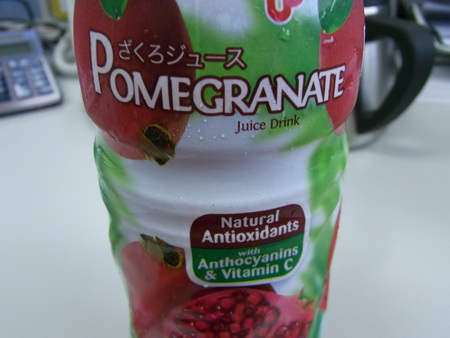 a0002177_2154947.jpg
