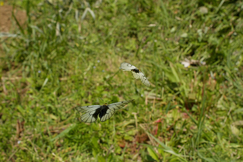 f0090680_20272315.jpg