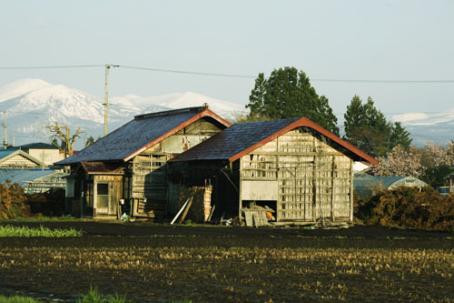 c0195281_18434796.jpg