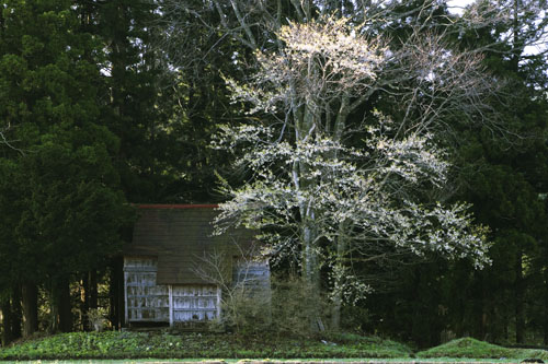 c0195281_18454276.jpg