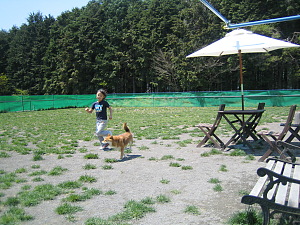 c0180384_1072083.jpg