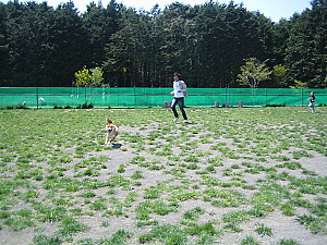 c0180384_107361.jpg