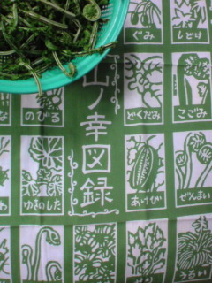e0033384_10421670.jpg