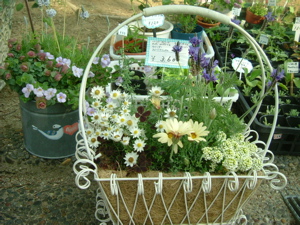 e0030587_41176.jpg
