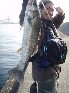 e0052088_110372.jpg