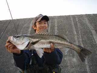 e0052088_1215269.jpg