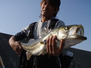 e0052088_12183541.jpg