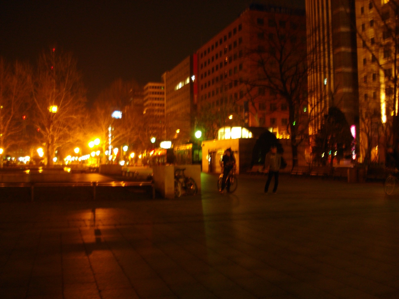 a0115090_932253.jpg