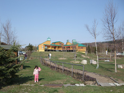 f0200190_2032169.jpg