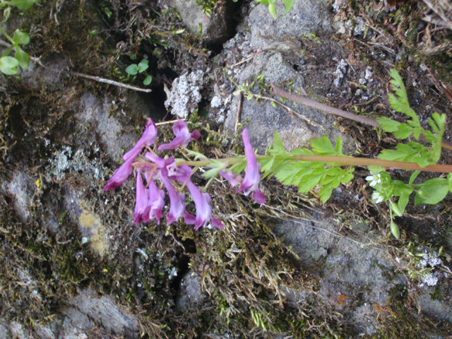 d0034291_1645308.jpg