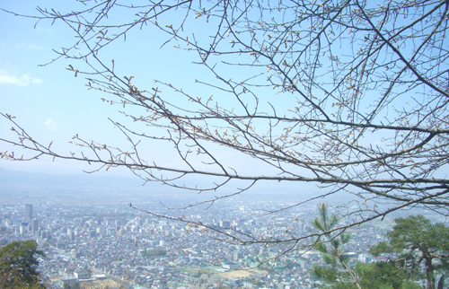 b0099994_10303839.jpg