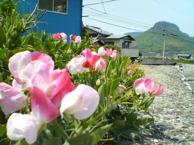 f0077595_13482563.jpg