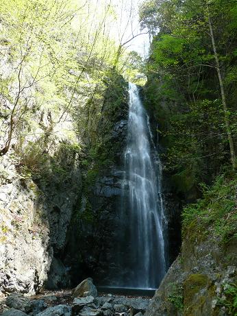 b0061798_10105298.jpg