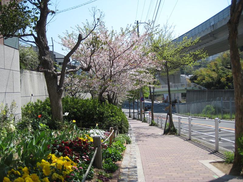 f0013998_22201126.jpg