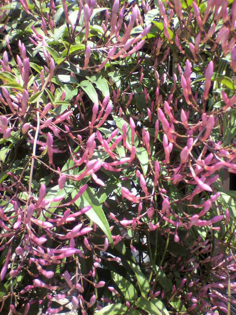 f0108399_1664940.jpg