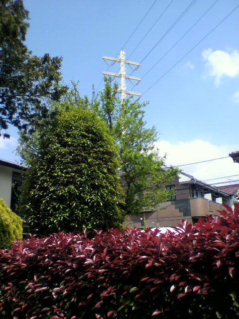 f0108399_1665613.jpg
