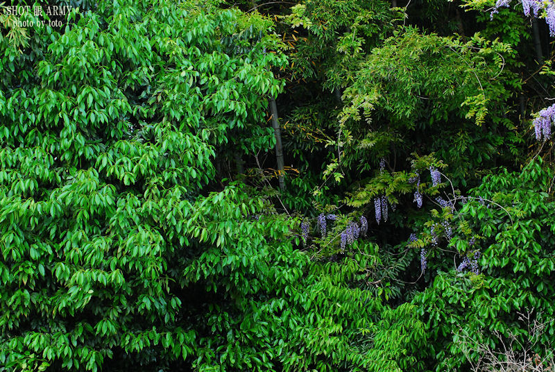 d0085501_10514642.jpg