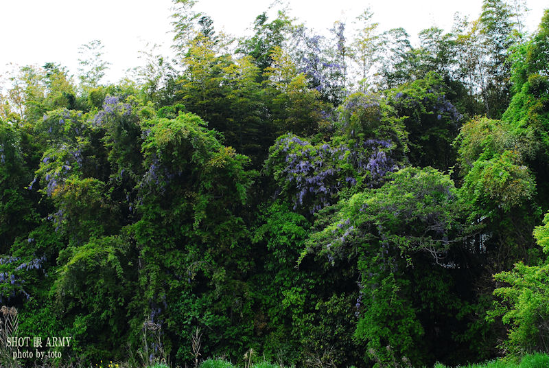 d0085501_1057751.jpg