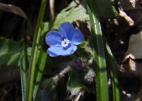 f0187402_2034327.jpg