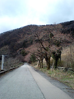 d0093903_22491693.jpg