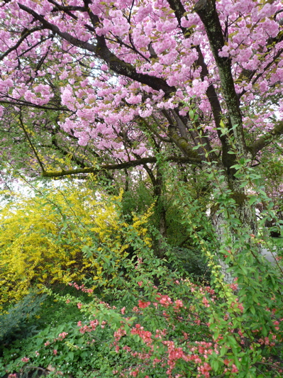 c0167813_8401977.jpg