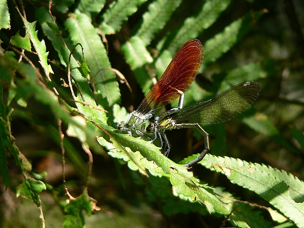 e0002314_19205553.jpg