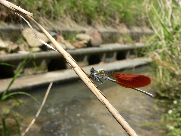 e0002314_195588.jpg