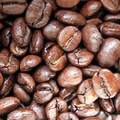 c0036617_815129.jpg