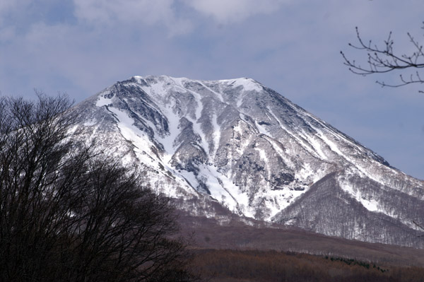 e0083517_3571989.jpg