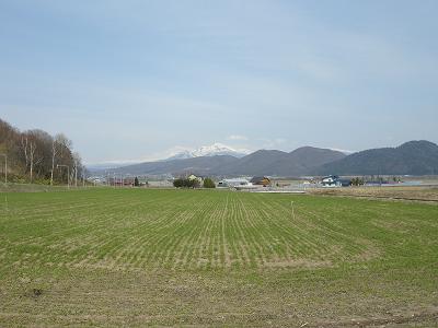 b0132522_2253271.jpg