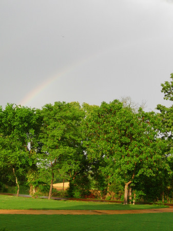 c0151122_1217572.jpg