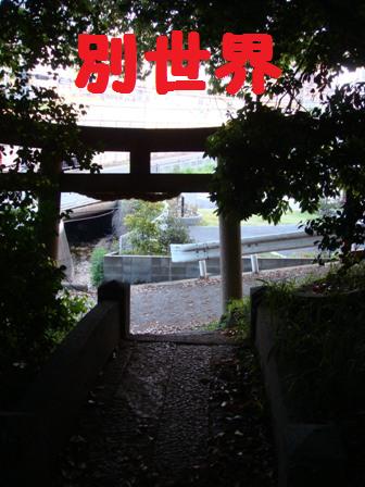 d0137326_9739.jpg